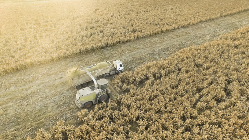 Na prática da produção agropecuária, João Eustáquio De Almeida Junior mostra como eficiência operacional é o caminho para menos perdas e mais lucro no campo.
